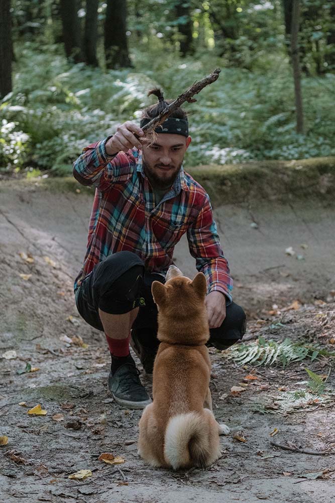 Dog photo