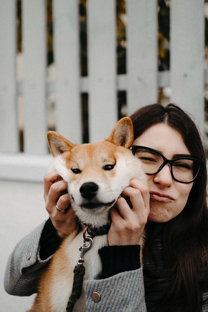 Dog photo