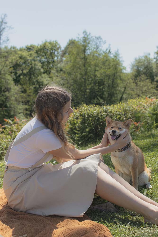 Dog photo