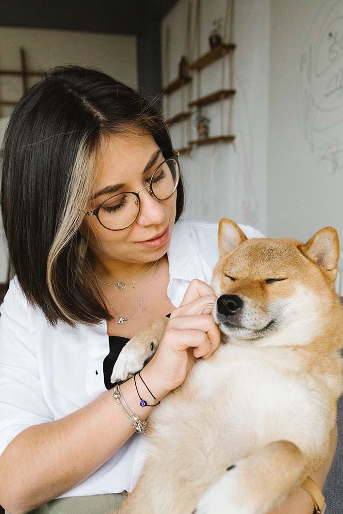 Dog photo